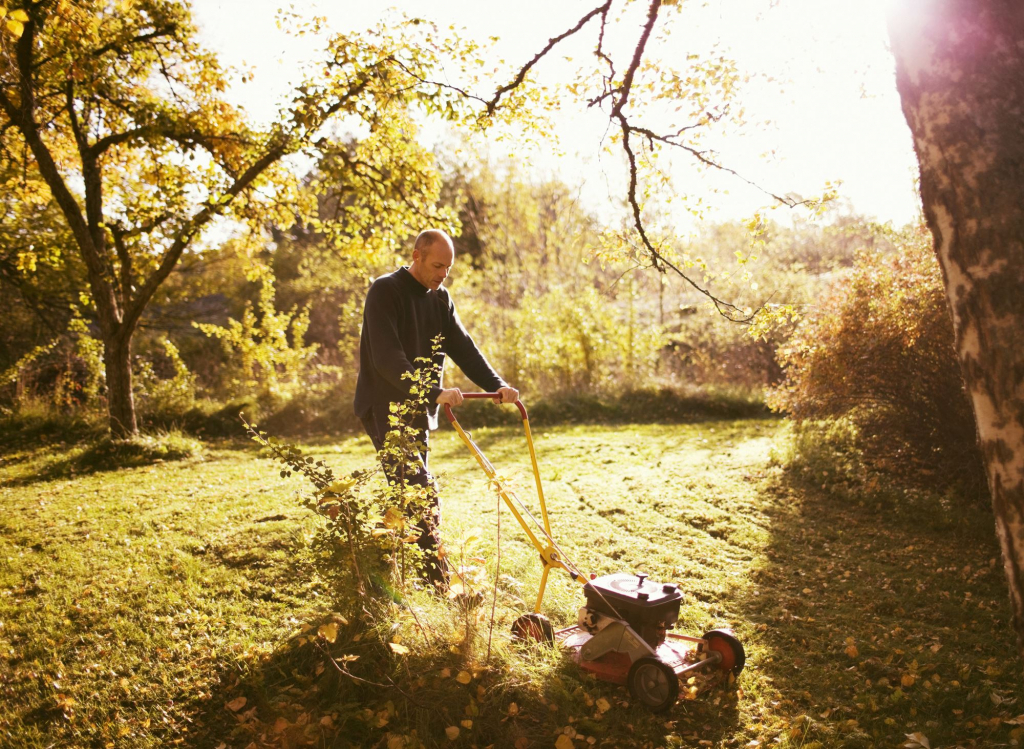 Forberede hagen om høsten – slik gjør du det